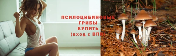 бутик Аркадак